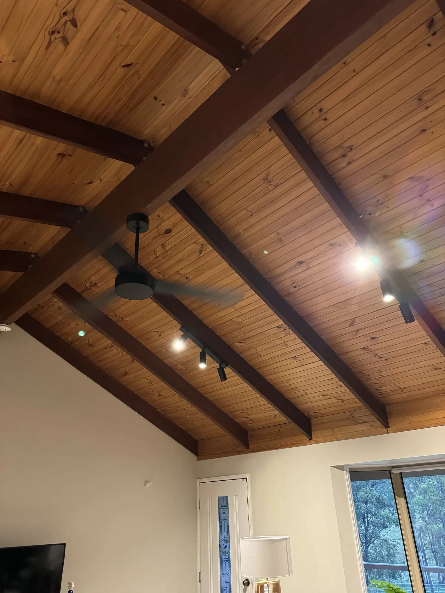 Black ceiling fan and track lighting