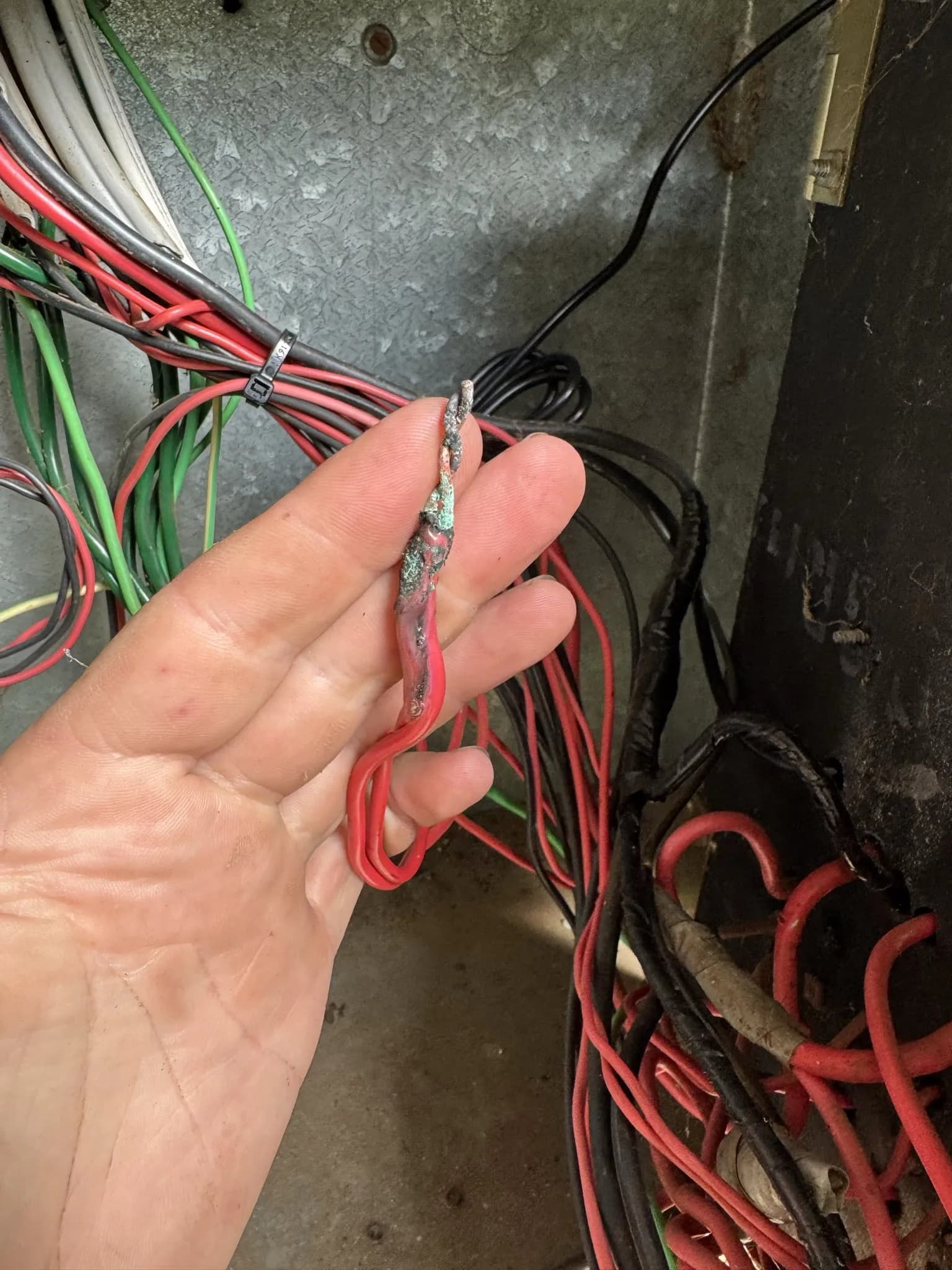 Electrical Fault Finding — photo 3 of 6
